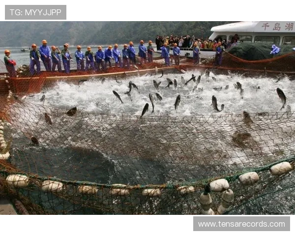 便捷快速的ag捕鱼线上入口入口，随时随地开启精彩捕鱼之旅